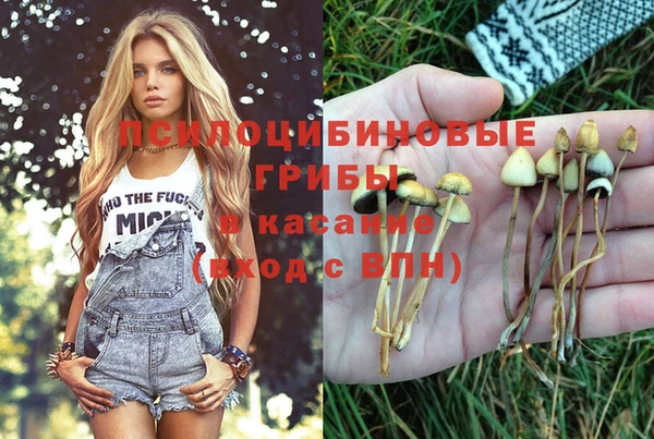 СК Абдулино