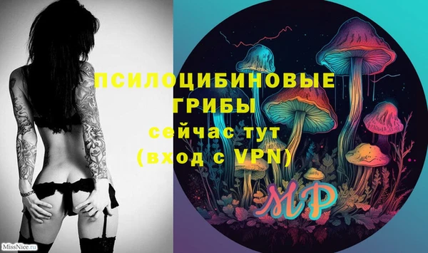 крисы Абинск