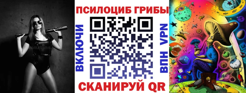 Псилоцибиновые грибы Psilocybine cubensis  Таштагол 